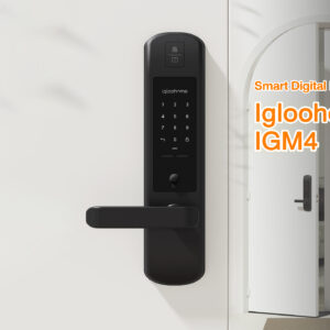 Mortise 2+ (IGM4)